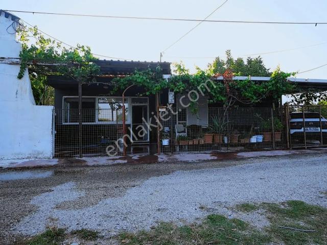 Portakal Bahçeleri İçinde Keyifli Bir Yaşam
