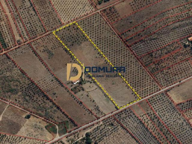 Portalegre Elvas 7350 105100838