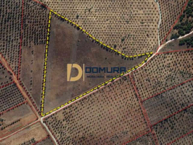 Portalegre Elvas 7350 105100839