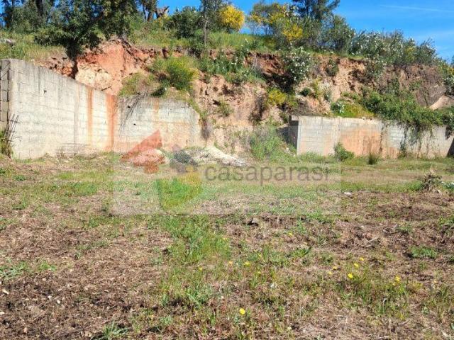 Portalegre Ponte de Sor 7425 103322206