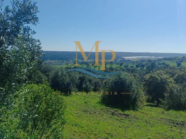 Portalegre Ponte de Sor 105654357