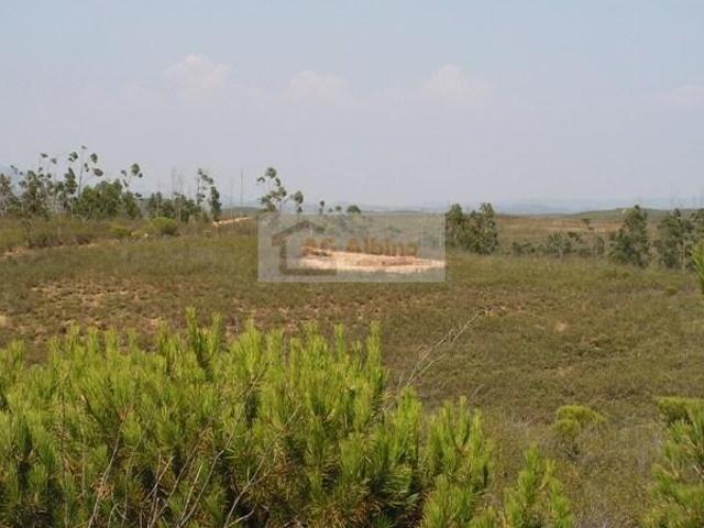 Portimão Faro 103302061