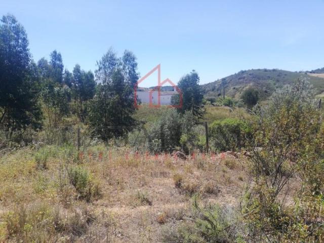 Portimão Portimão 93555367