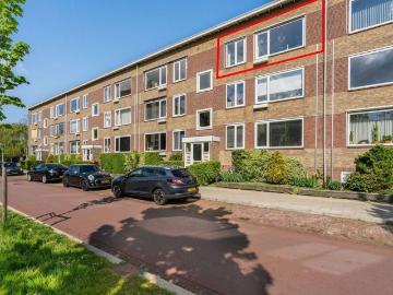 Olland, Meierijstad, Noord-Brabant - Terras