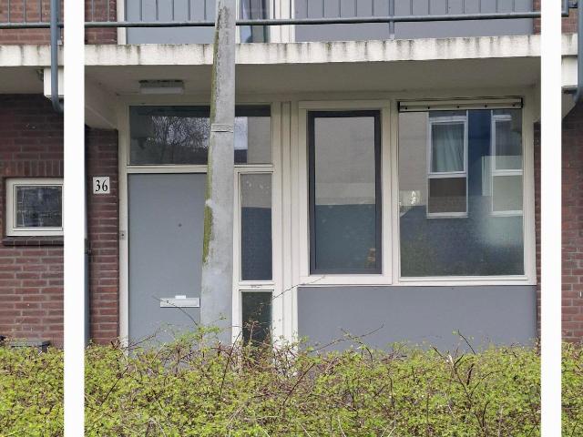 Portiekwoning in Amsterdam
