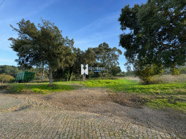 Porto Trofa 4745 102882463