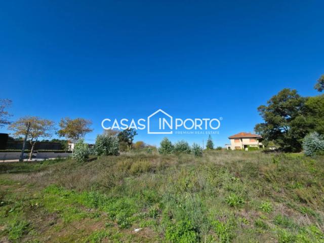 Porto Vila Nova de Gaia 4405 104142768