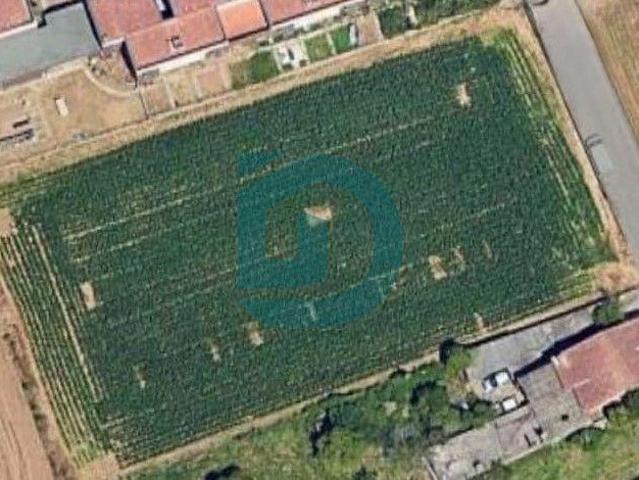 Porto Vila do Conde 4485 99223965