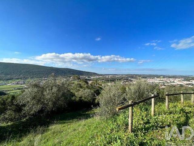 Porto De Mos Leiria 101231506