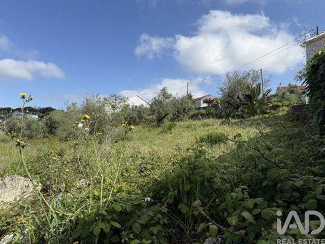 Porto De Mos Leiria 102117075