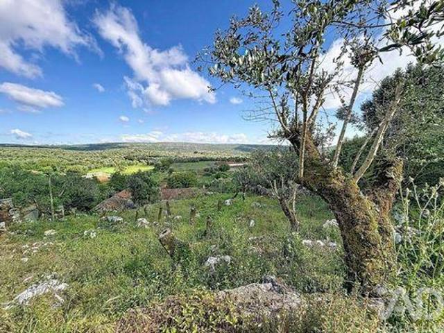 Porto De Mos Leiria 103492644