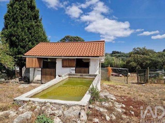 Porto De Mos Leiria 92679728
