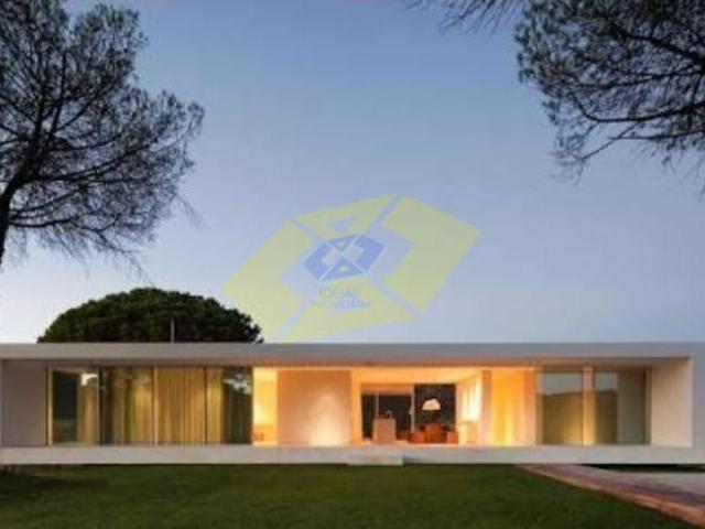 Porto Felgueiras 4650 104876237