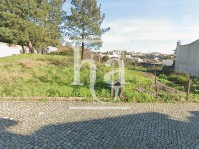 Porto Maia 4425 100046711