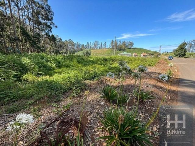 Porto Moniz Porto Moniz 9270 000 LS105473410
