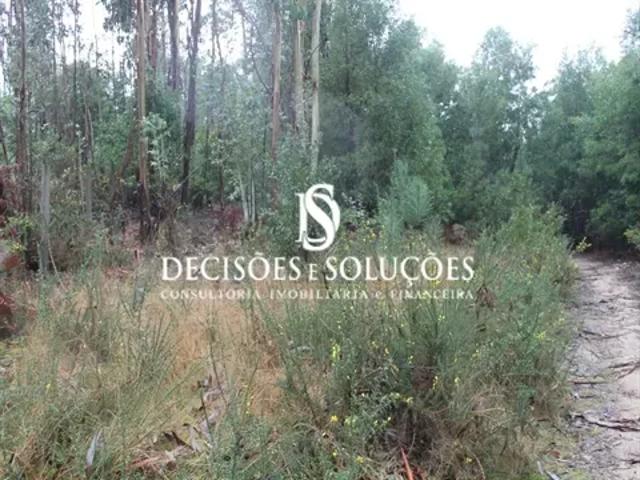 Porto Paços de Ferreira 103559214