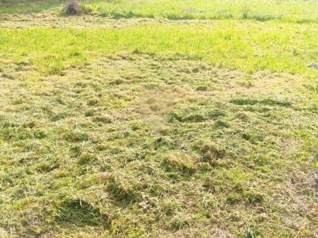 Porto Penafiel 4456 98786593
