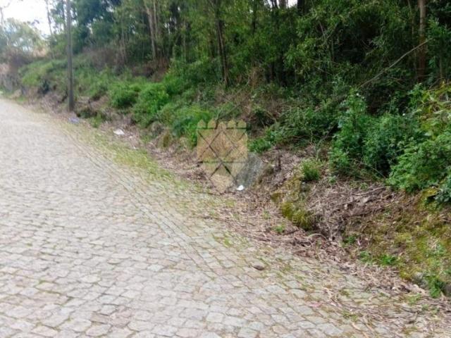 Porto Penafiel 4560 98786587