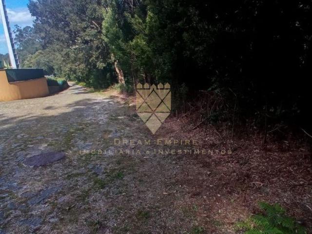 Porto Penafiel 4560 98786601