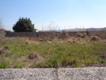 Porto Porto 103394529