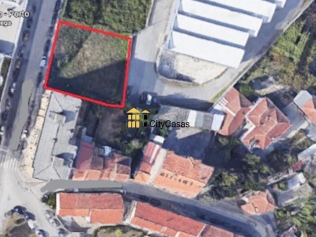 Porto Porto 104903821