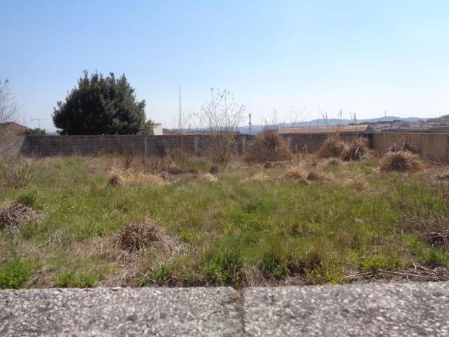 Porto Porto 105542483