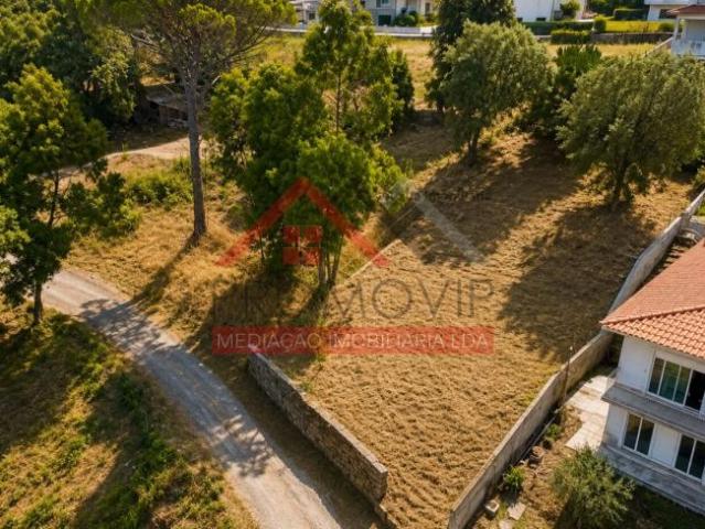 Porto Santo Tirso 4780 104984914