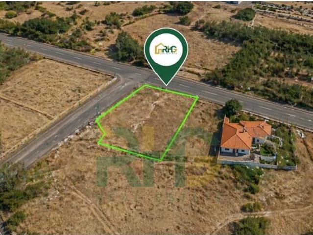Porto Santo Porto Santo 101645498