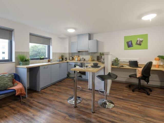 Portland Road, Newcastle NE2 Studio to rent £1,018 pcm £235 pw