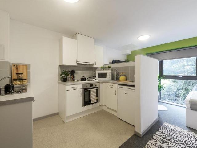 Portland Road, Newcastle NE2 Studio to rent £975 pcm £225 pw