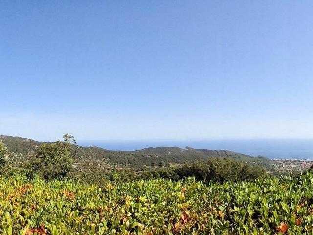 Porzione terratetto libero su tre lati con giardino e vista. 80m² Marciana