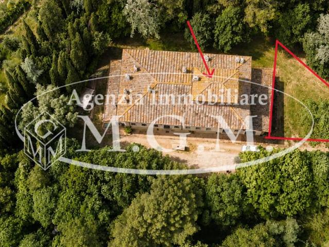 Porzione di casa in affitto a Fauglia