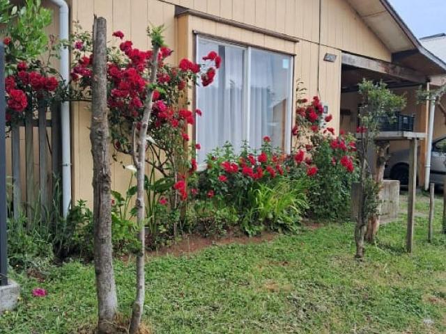 Por situación de salud, remata casa en lago ranco