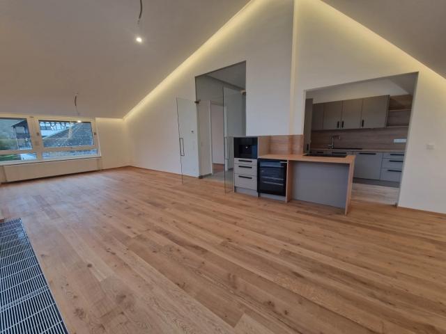 PÖTZLEINSDORFER PARK NEU SANIERT LOFTARTIGE ARCHITEKTENWOHNUNG TRAUMHAFTE LAGE GRÜNBLICK 4 ZIMMER + grosser BALKON