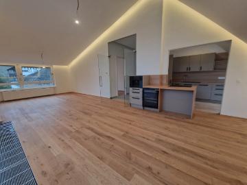 PÖTZLEINSDORFER PARK NEU SANIERT LOFTARTIGE ARCHITEKTENWOHNUNG TRAUMHAFTE LAGE GRÜNBLICK 4 ZIMMER + grosser BALKON