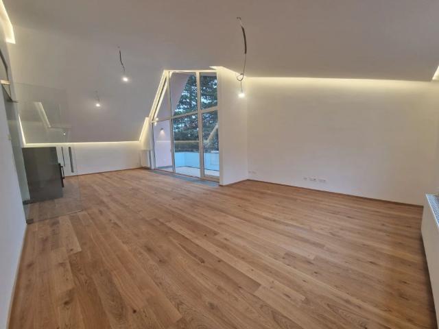 PÖTZLEINSDORFER PARK NEU SANIERT LOFTARTIGE ARCHITEKTENWOHNUNG TRAUMHAFTE LAGE GRÜNBLICK 4 ZIMMER + grosser BALKON