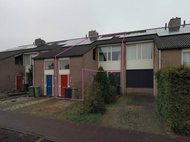 Potbeker 13