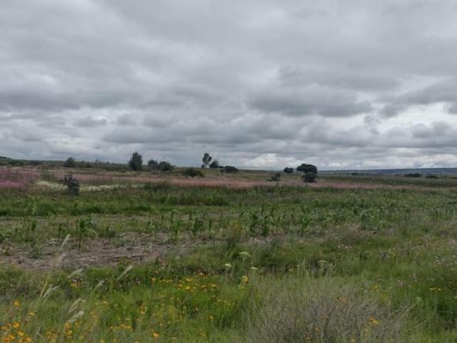 Potrerillos, San Juan del Rio. Terreno en venta de 8,781m2 a excelente precio