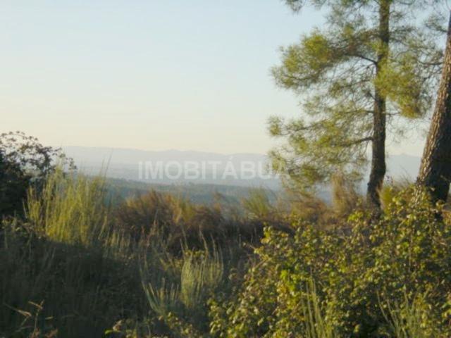 Pouco mais de um hectare de terreno com belas vistas para a montanha e a possibilidade de construir