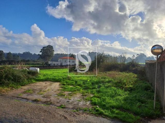 Póvoa de Varzim Póvoa de Varzim 101863074