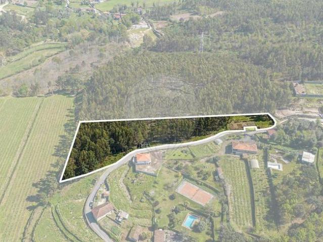 Póvoa de Lanhoso Braga 99969466