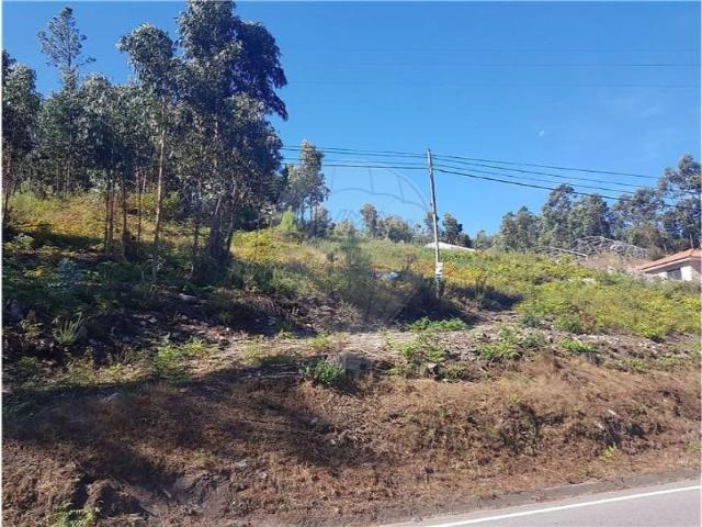 Póvoa de Lanhoso Póvoa de Lanhoso 105145093