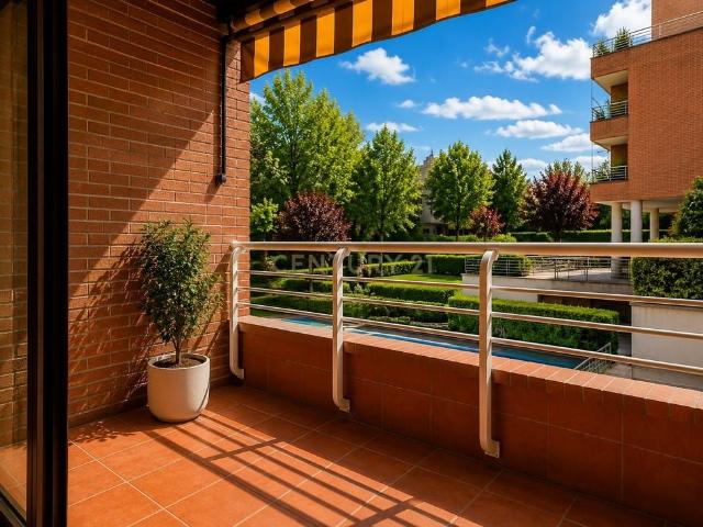 Pozuelo de Alarcón, Community of Madrid