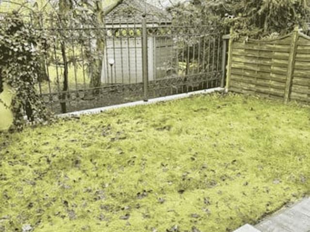 Poznań, Grunwald, ul. Żmigrodzka