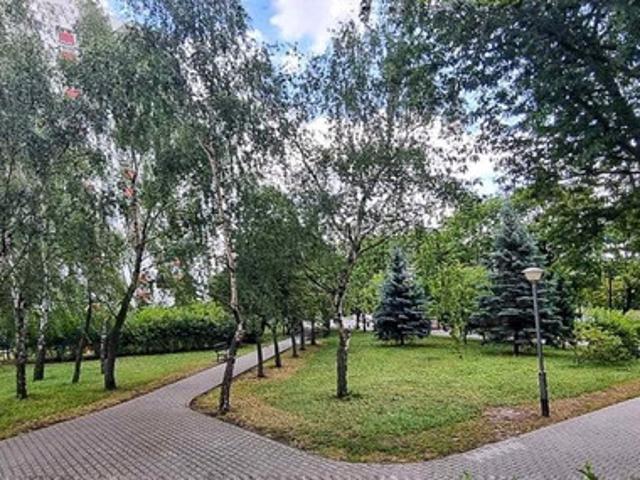 Poznań, Stare Miasto, Winogrady, Os. Wichrowe Wzgórze