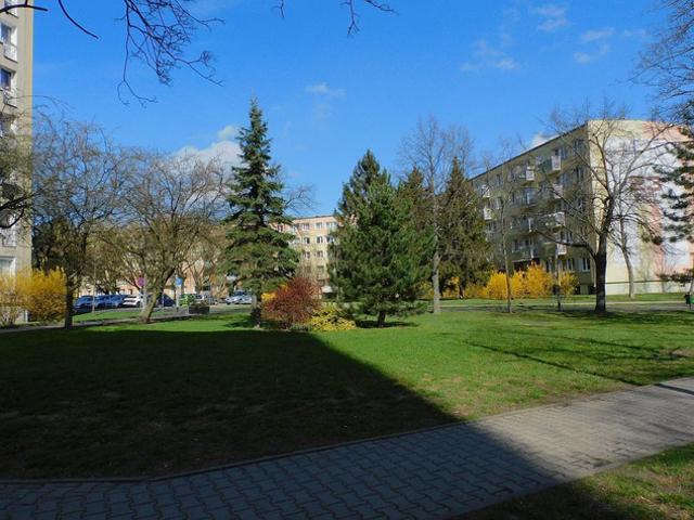 Poznań, Stare Miasto, Winogrady