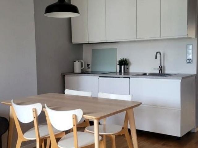 Poznan Centrum Grunwald 3 pokoje apartament przy parku Poznań