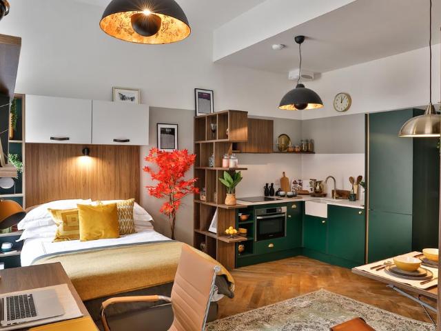Plot South Bridge Postgrad, Premium. Studio to rent £1,647 pcm £380 pw
