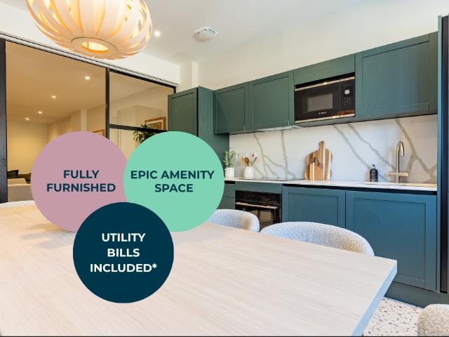 Plot 7.03, Nest Apartment at Fitz &. Studio to rent £1,350 pcm £312 pw