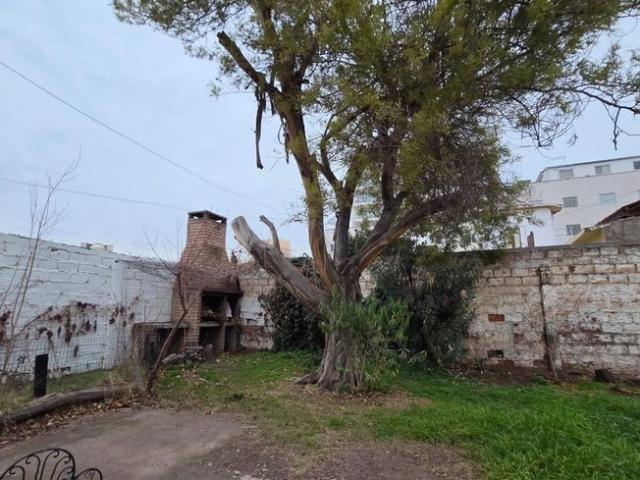 Plottier, Confluencia, Neuquén